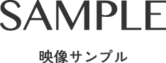 映像サンプル